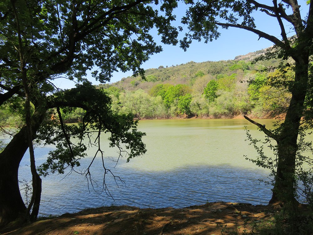 Actividad de voluntariado ambiental en Pámanes