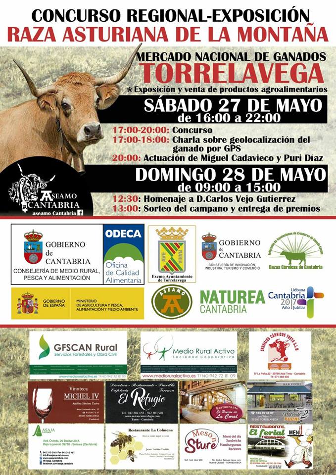 Concurso regional de ganado en Torrelavega