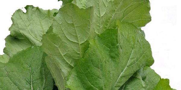 Conferencia,Grelos y respigos, en el Ateneo de Santander