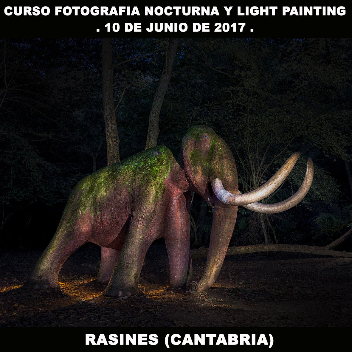 Curso de fotografía en Rasines