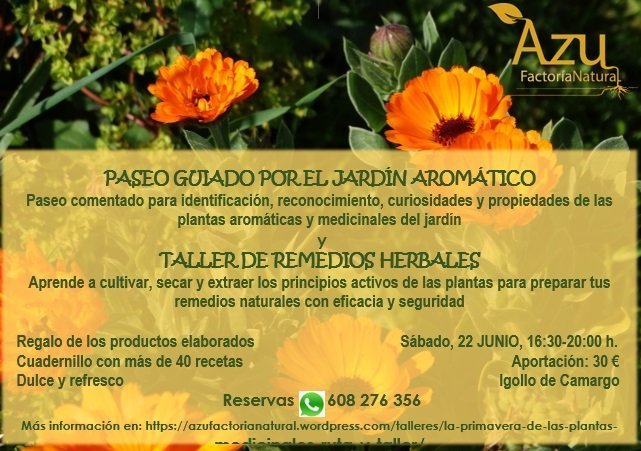 PASEO GUIADO POR EL JARDÍN AROMÁTICO Y TALLER DE REMEDIOS HERBALES