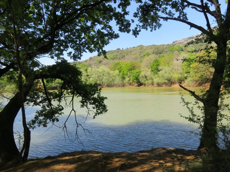 Provoca: eliminación de plumero en Pozos de Valcaba