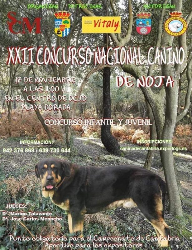 XXII Concurso nacional canino de Noja