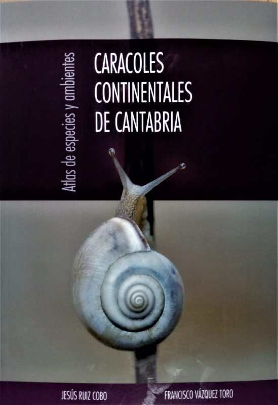 Caracoles continentales de Cantabria