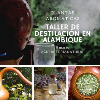 TALLER DE DESTILACIÓN EN ALAMBIQUE DE PLANTAS AROMÁTICAS