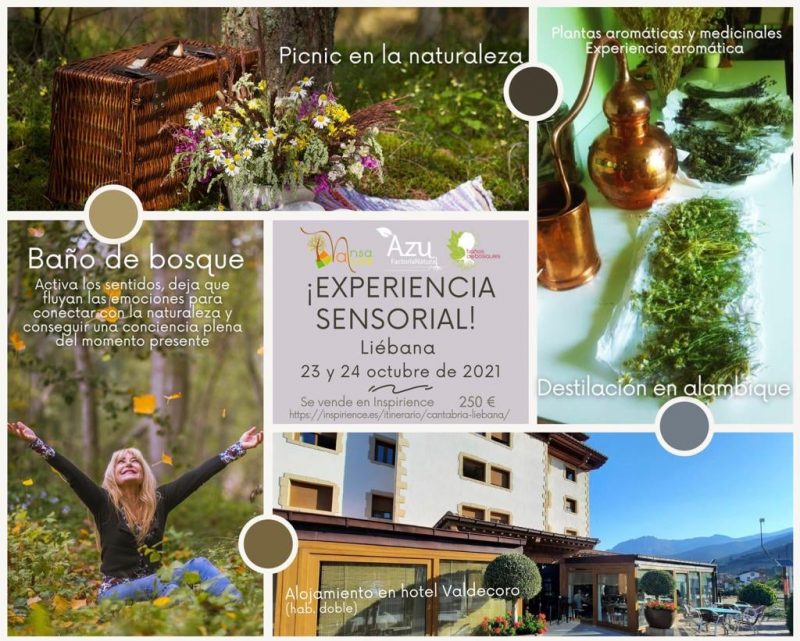 Experiencia Sensorial en Liébana