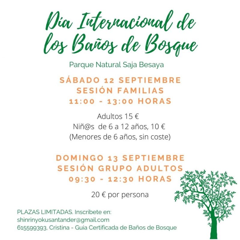Día Internacional de los Baños de Bosque