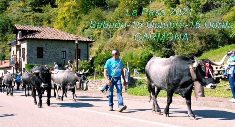 La Pasá 2021 – Carmona