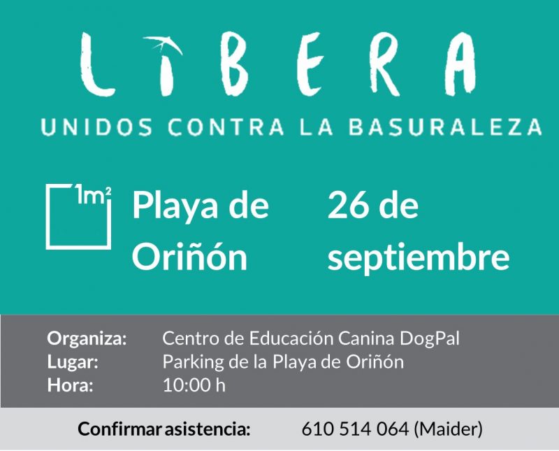 Limpieza de Playa – Playa de Oriñón