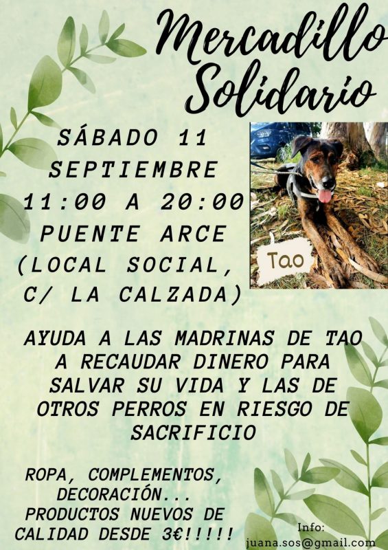 Mercadillo Solidario – Puente Arce