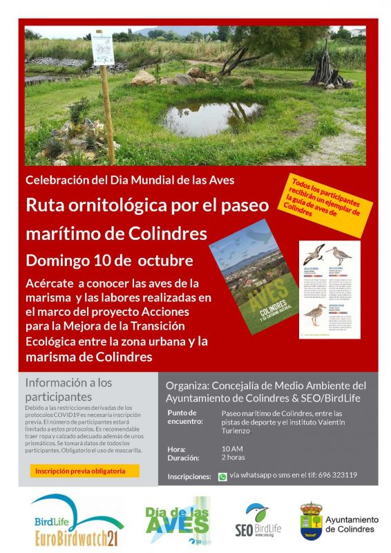Ruta ornitológica por el paseo marítimo de Colindres