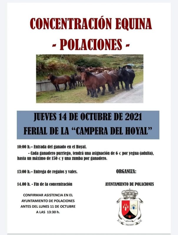Concentración Equina – Polaciones