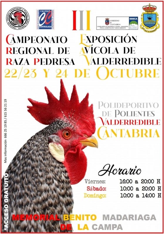 Campeonato Regional de Raza Pedresa