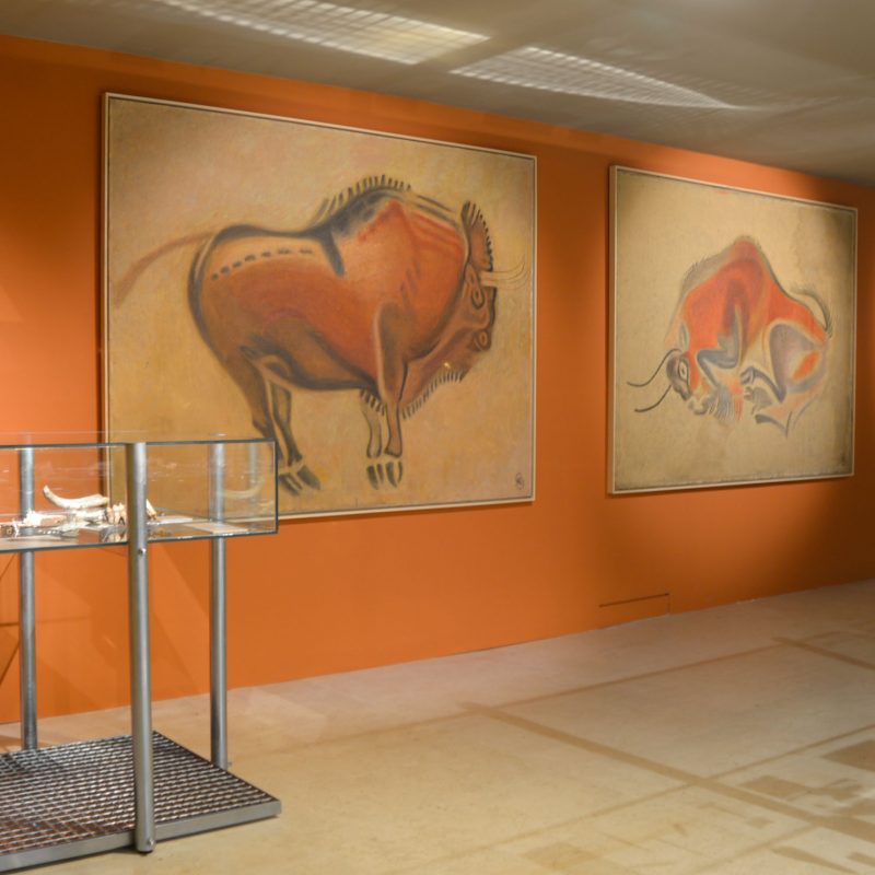 Piedra, papel y color – Museo Altamira