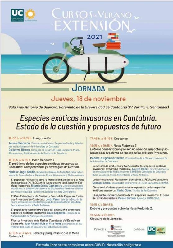 Cursos de Verano Extensión 2021