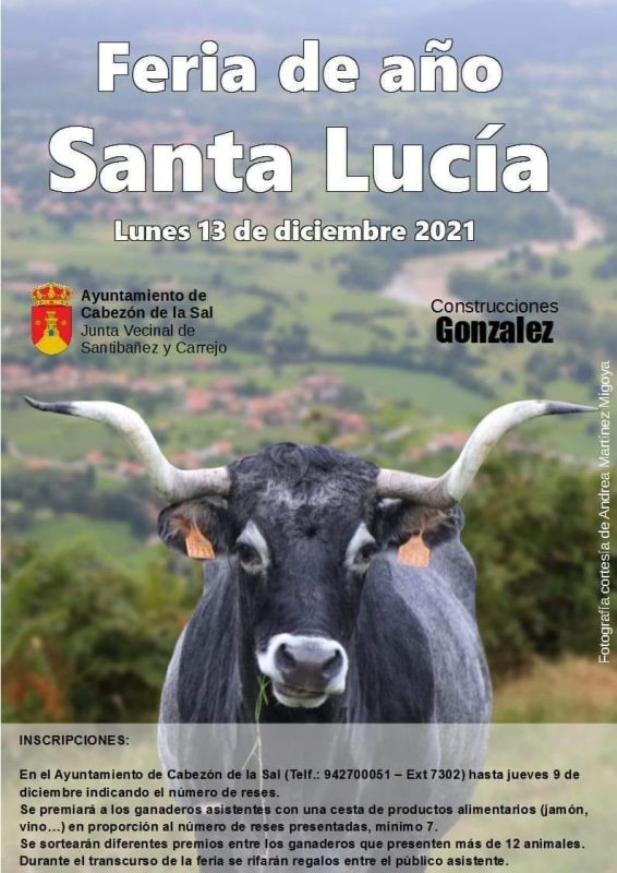 Feria del Año Santa Lucía