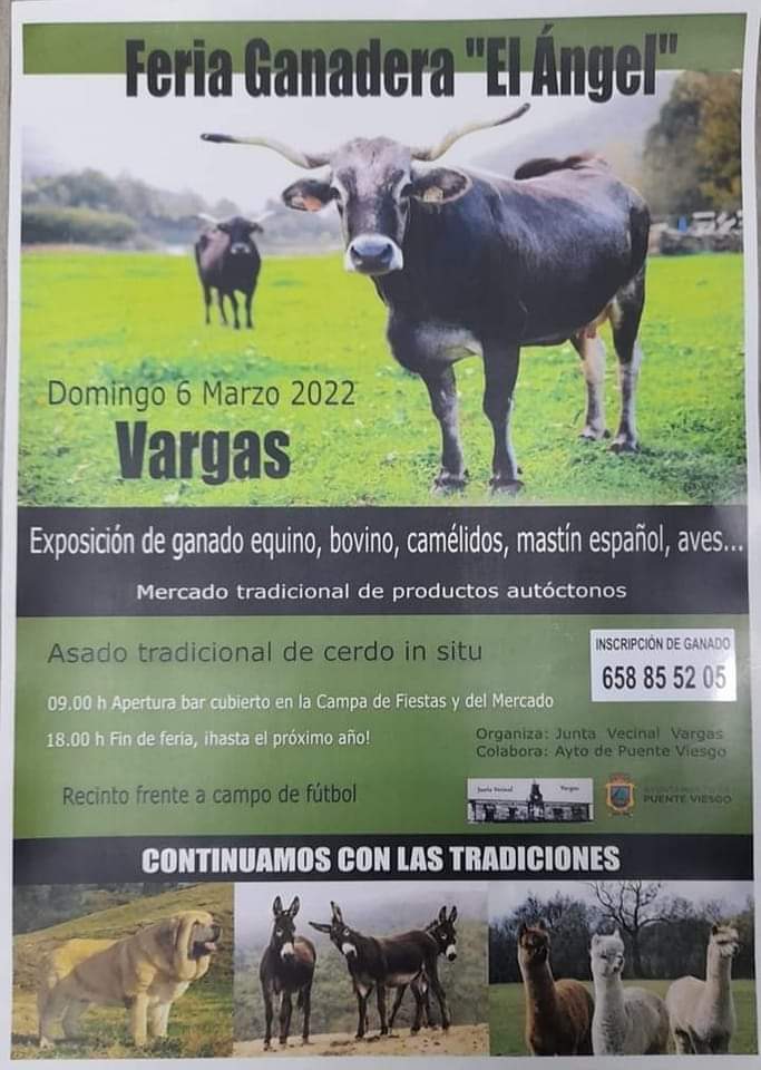 Feria Ganadera «El Angel» – Vargas