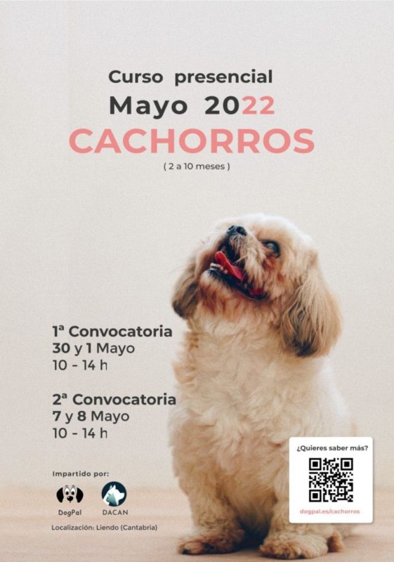 Curso Presencial Cachorros