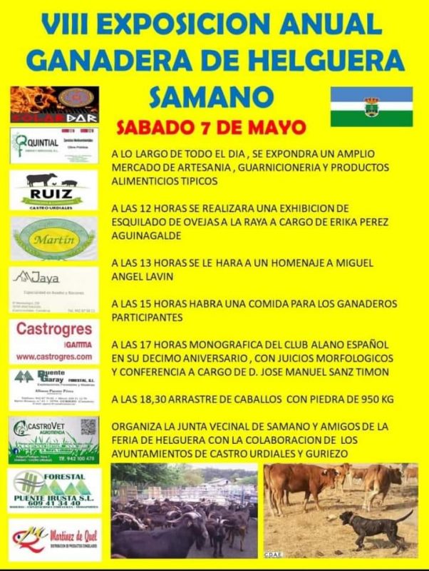 VII Exposicion Anual Ganadera de Helguera – Sámano