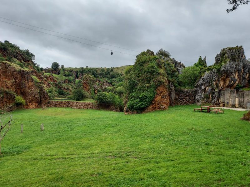 Excursión a Cabárceno