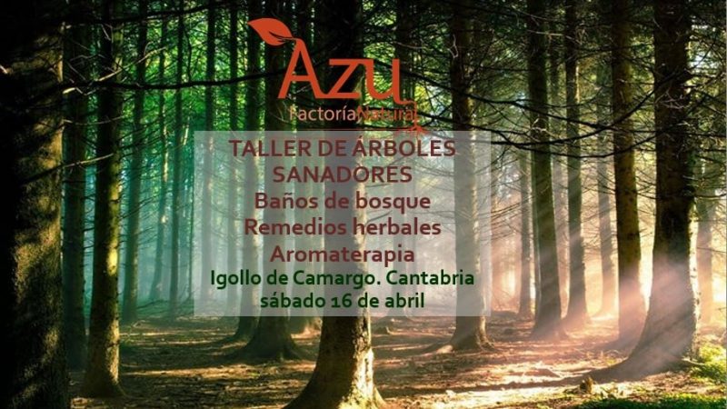 TALLER DE ÁRBOLES SANADORES