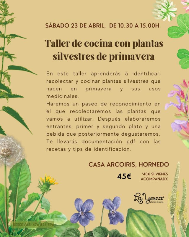 TALLER DE COCINA CON PLANTAS SILVESTRES DE PRIMAVERA