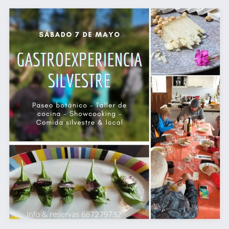 Gastro Experiencia Silvestre