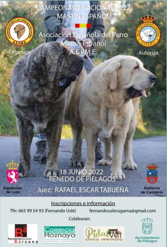 Campeonato Nacional Mastín Español