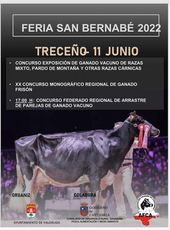 Feria de San Bernabé 2022 – Treceño