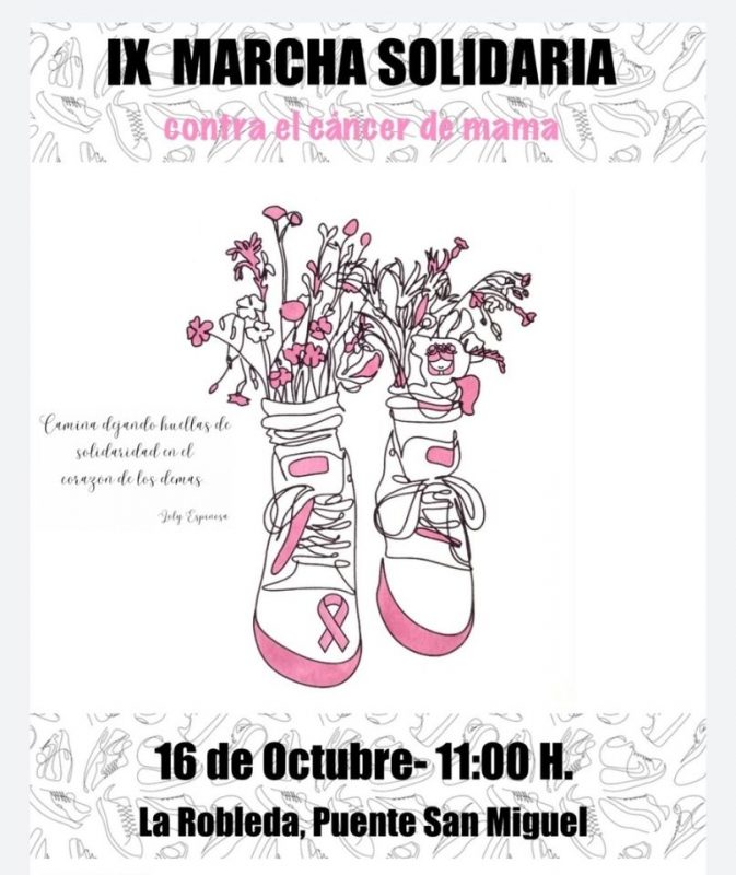 IX Marcha Solidaria contra el cancer de Mama