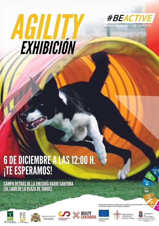 Exhibición Agility – 6 Diciembre