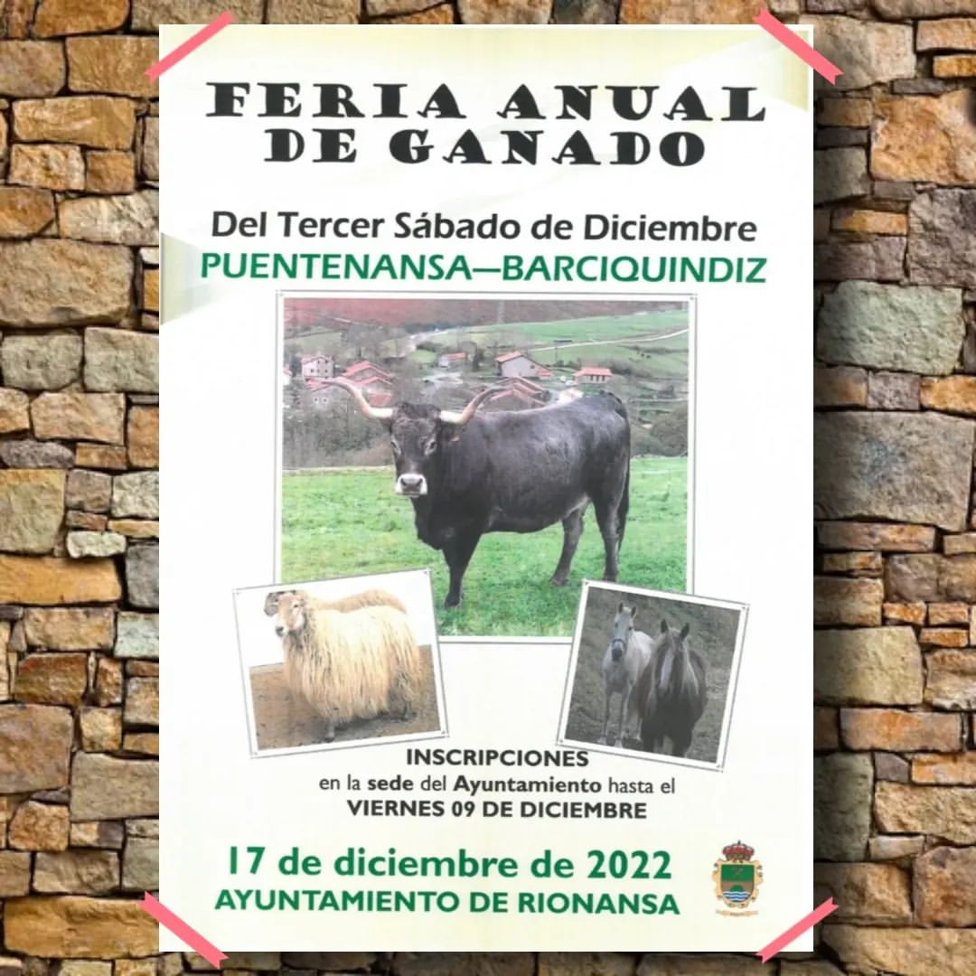 Feria Anual de Ganado – Puentenansa