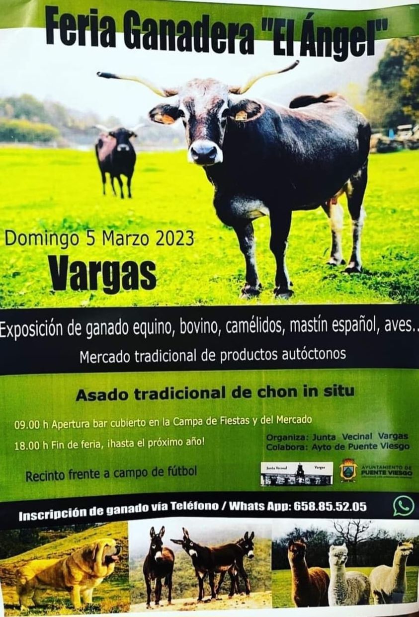 Feria Ganadera – «El Angel»