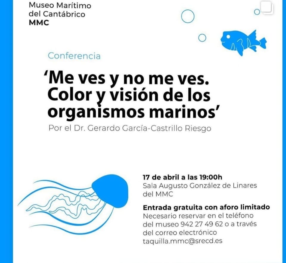 Me ves y no me ves – Color y visión de los organismos marinos