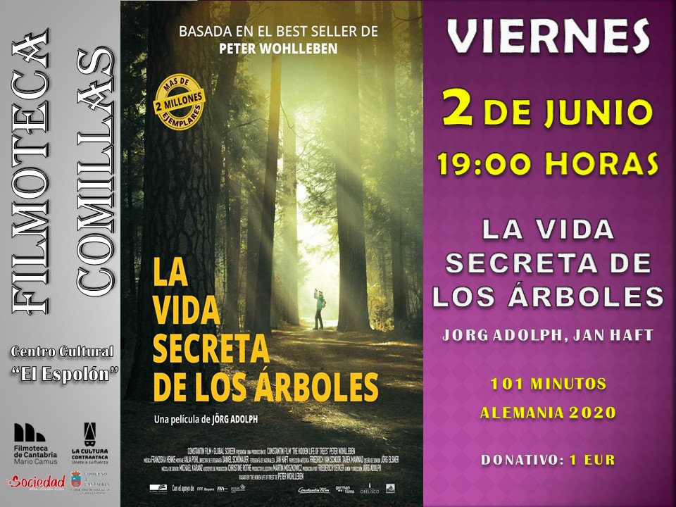 Cine – La vida Secreta de los árboles