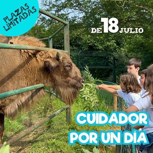 Cuidador por un dia – 18 Julio