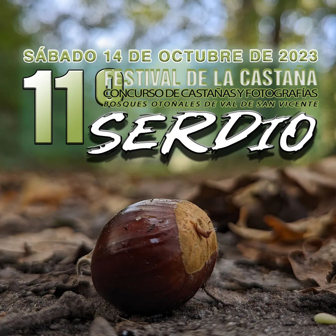 XI Festival de la Castaña 2023