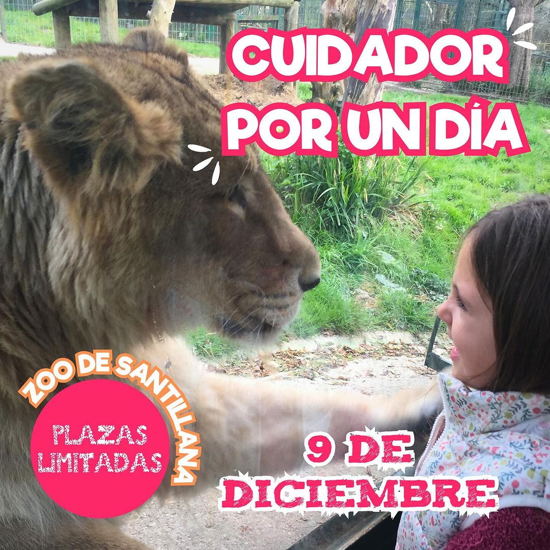 Cuidador por un día – 9 Diciembre
