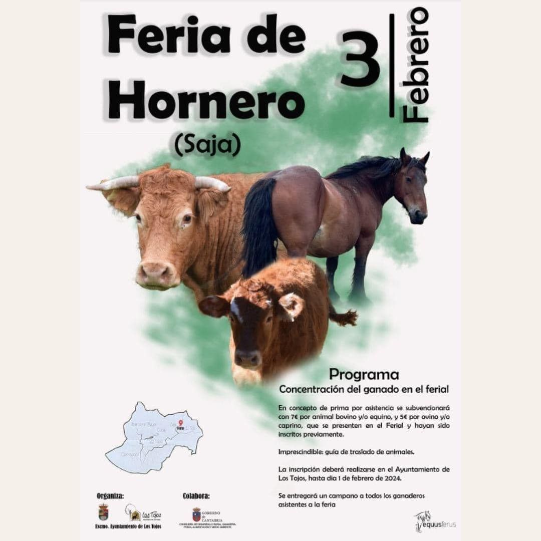 Feria de Hornero Saja 2024