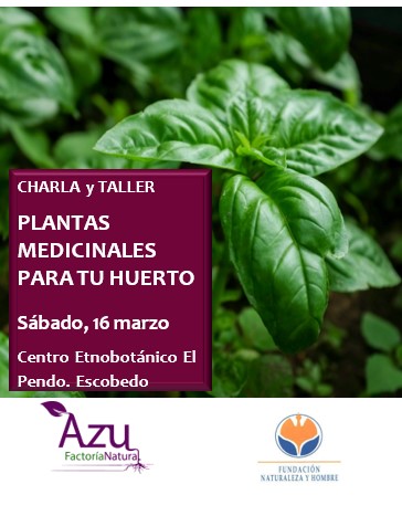 PLANTAS MEDICINALES PARA EL HUERTO. CHARLA-TALLER-VISITA GUIADA