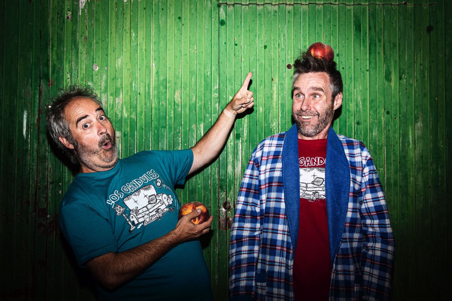 Concierto LOS GANDULES – 9 Marzo