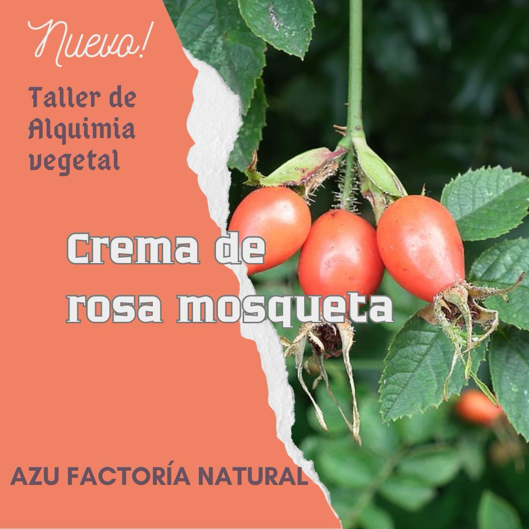 TALLER DE ALQUIMIA VEGETAL. CREMA DE ROSA MOSQUETA