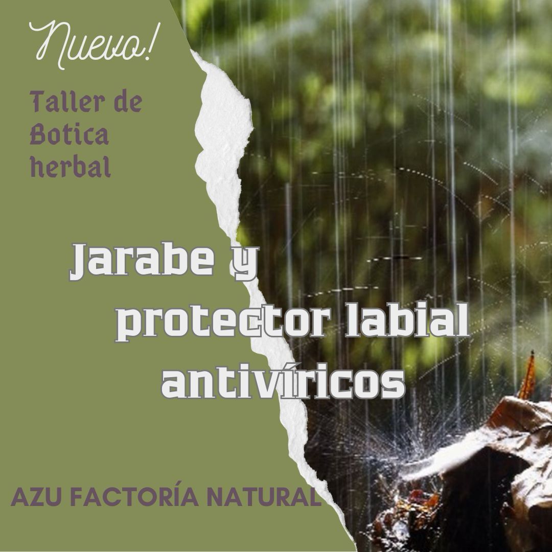 TALLER DE BOTICA HERBAL. JARABE Y PROTECTOR LABIAL ANTIVÍRICOS