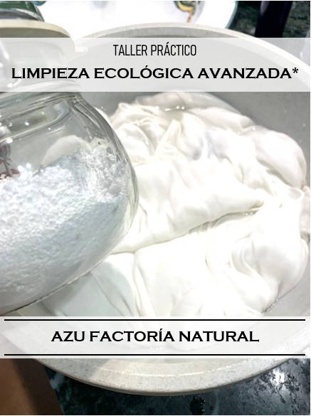 TALLER DE LIMPIEZA ECOLÓGICA AVANZADA
