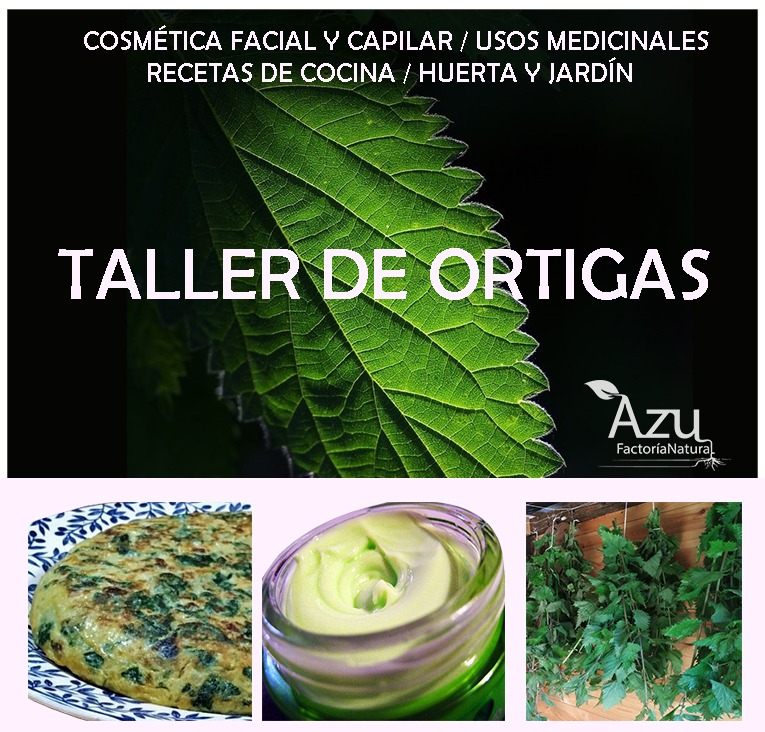 TALLER DE ORTIGAS