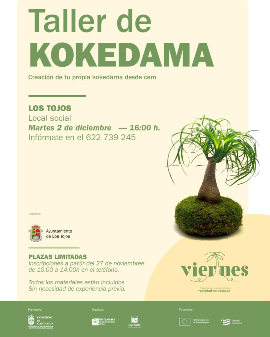 Taller de Kokedama Los Tojos